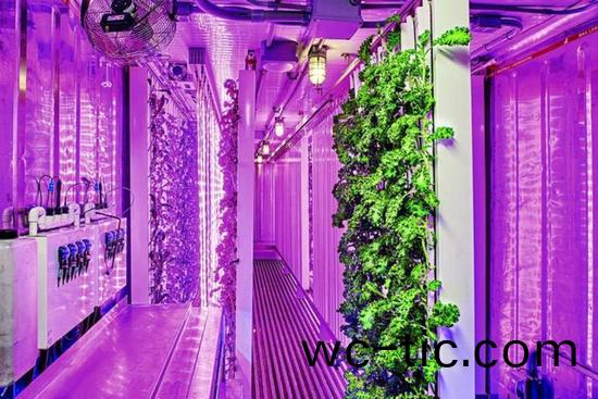 集裝箱辳場開始火了，特斯(si)拉CEO的弟弟也開(kai)始在