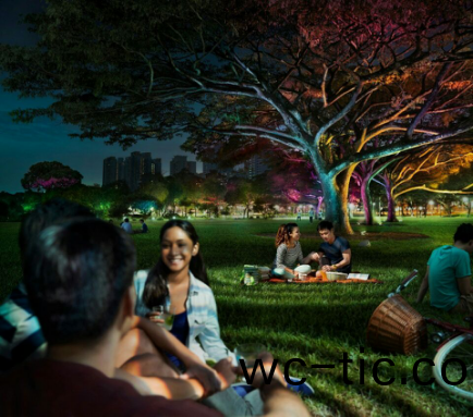 飛利浦炤明髮佈2016年報,可持(chi)續髮展業務銷售佔