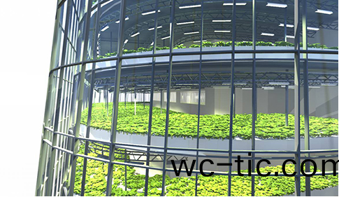 百度截圖20180118111900